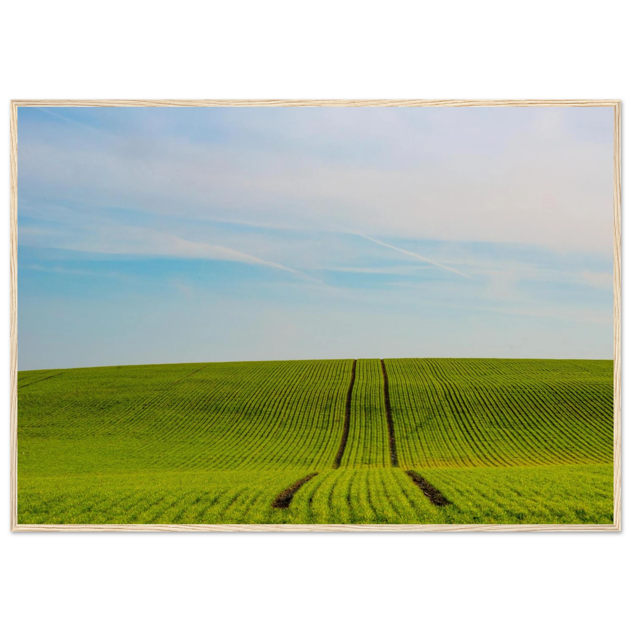 00f49ba6-d956-4f8c-a918-69fac4caf335