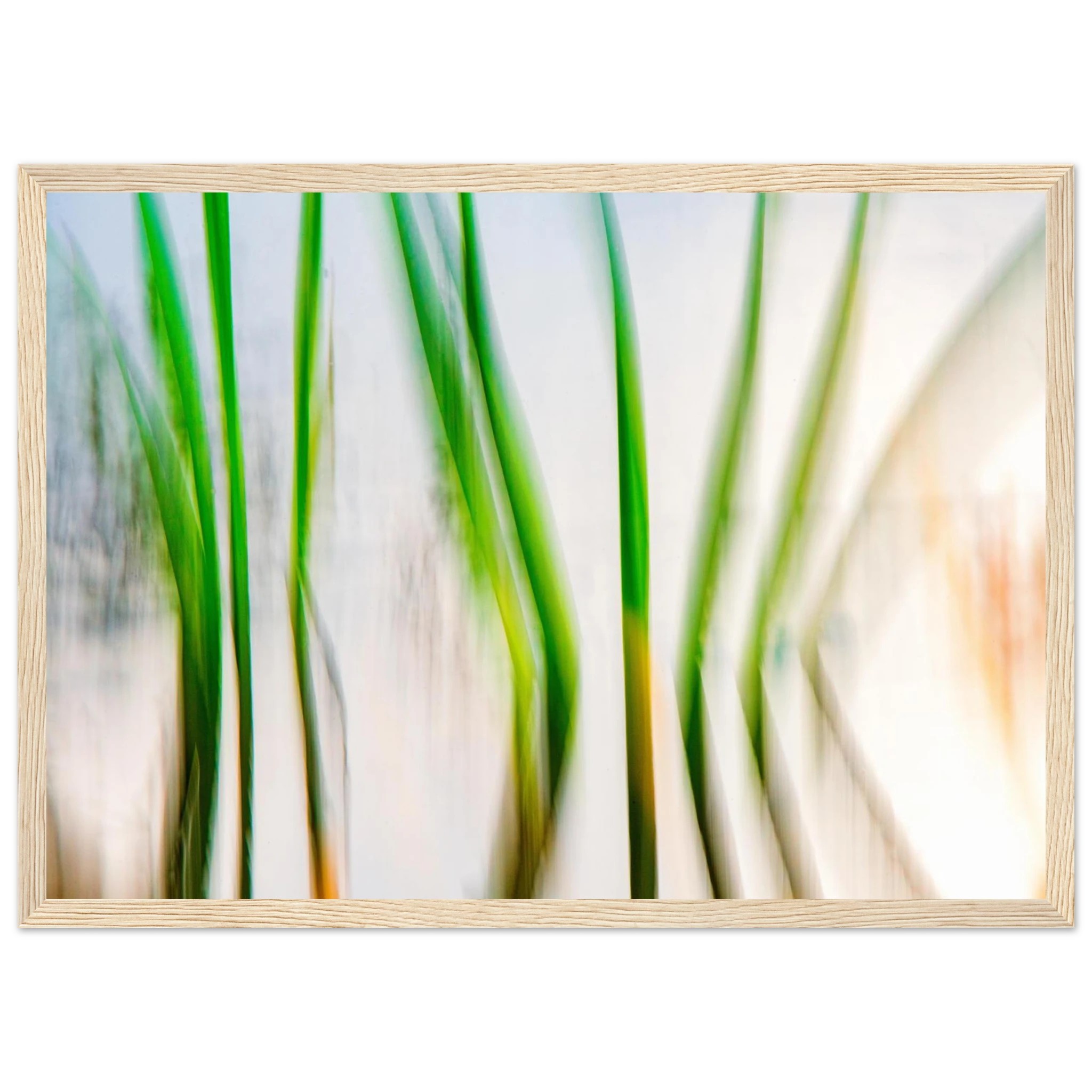 017f9642-fbaf-45ff-911b-b3ddeaf8ee2c