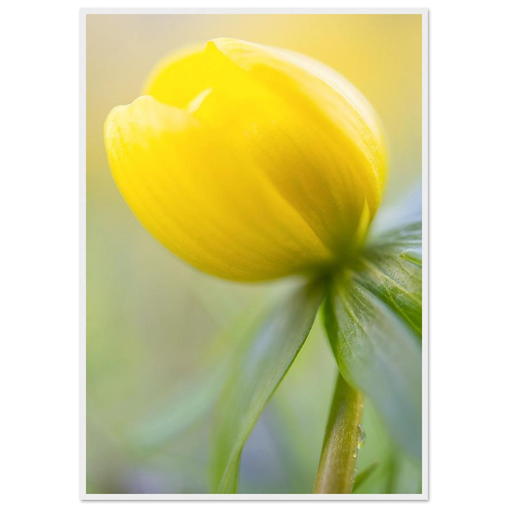 0192a8a2-6297-41c9-ae21-b2e13391a29c