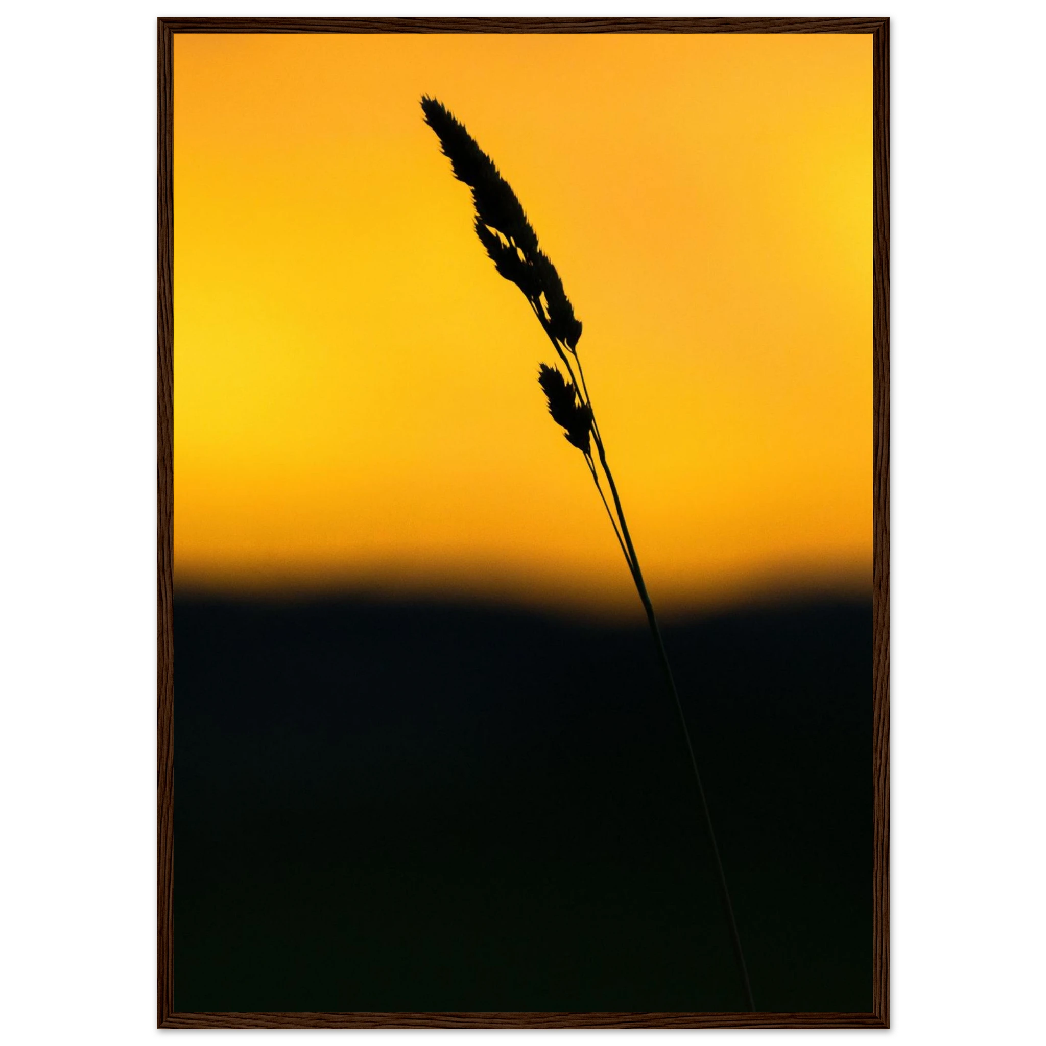 020155e1-a533-437f-9ac1-7d48df03cc5b