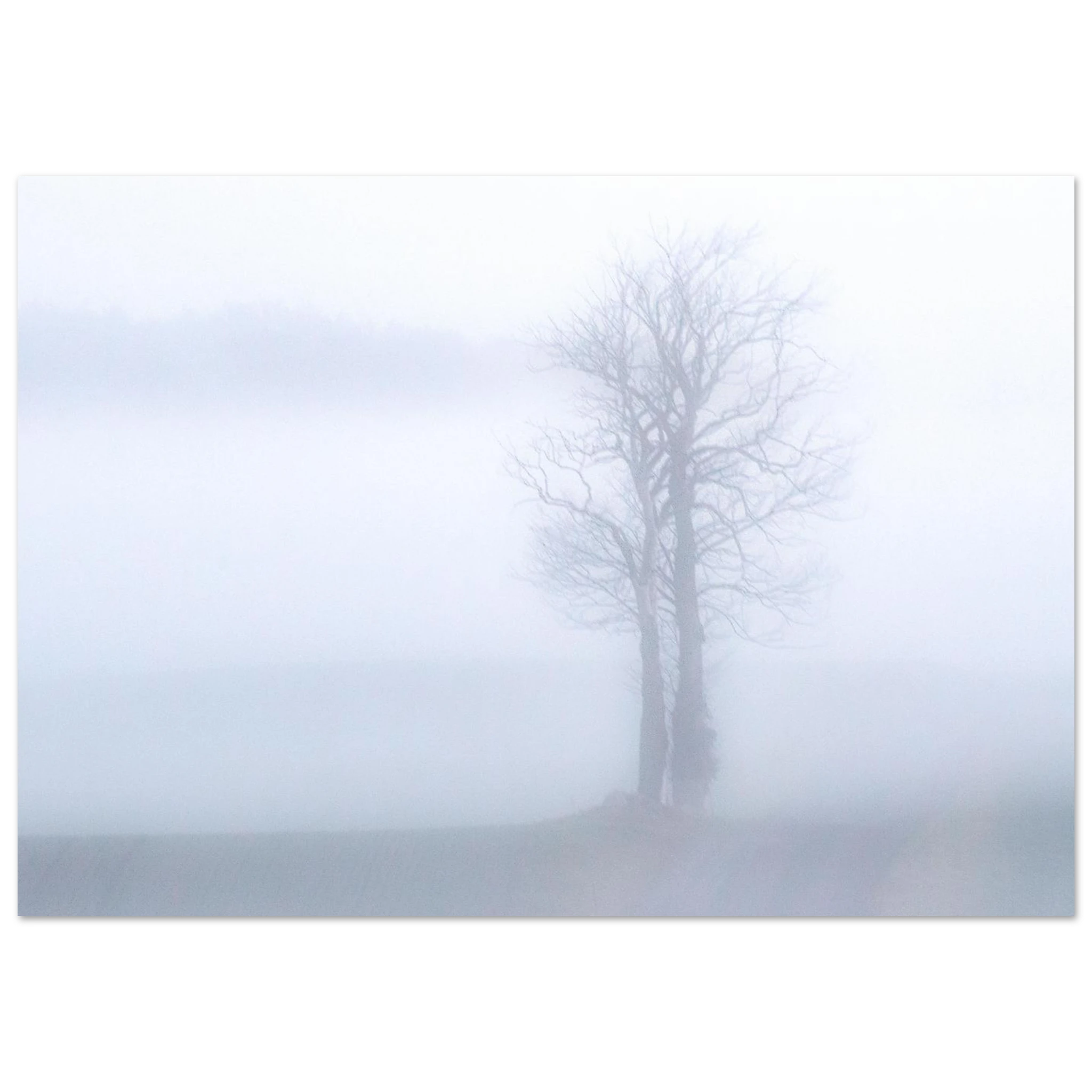 022ce074-0ab8-405b-9b09-d717d0e47148