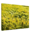 02a9b023-48c8-4e2a-abdf-8967179c5f99