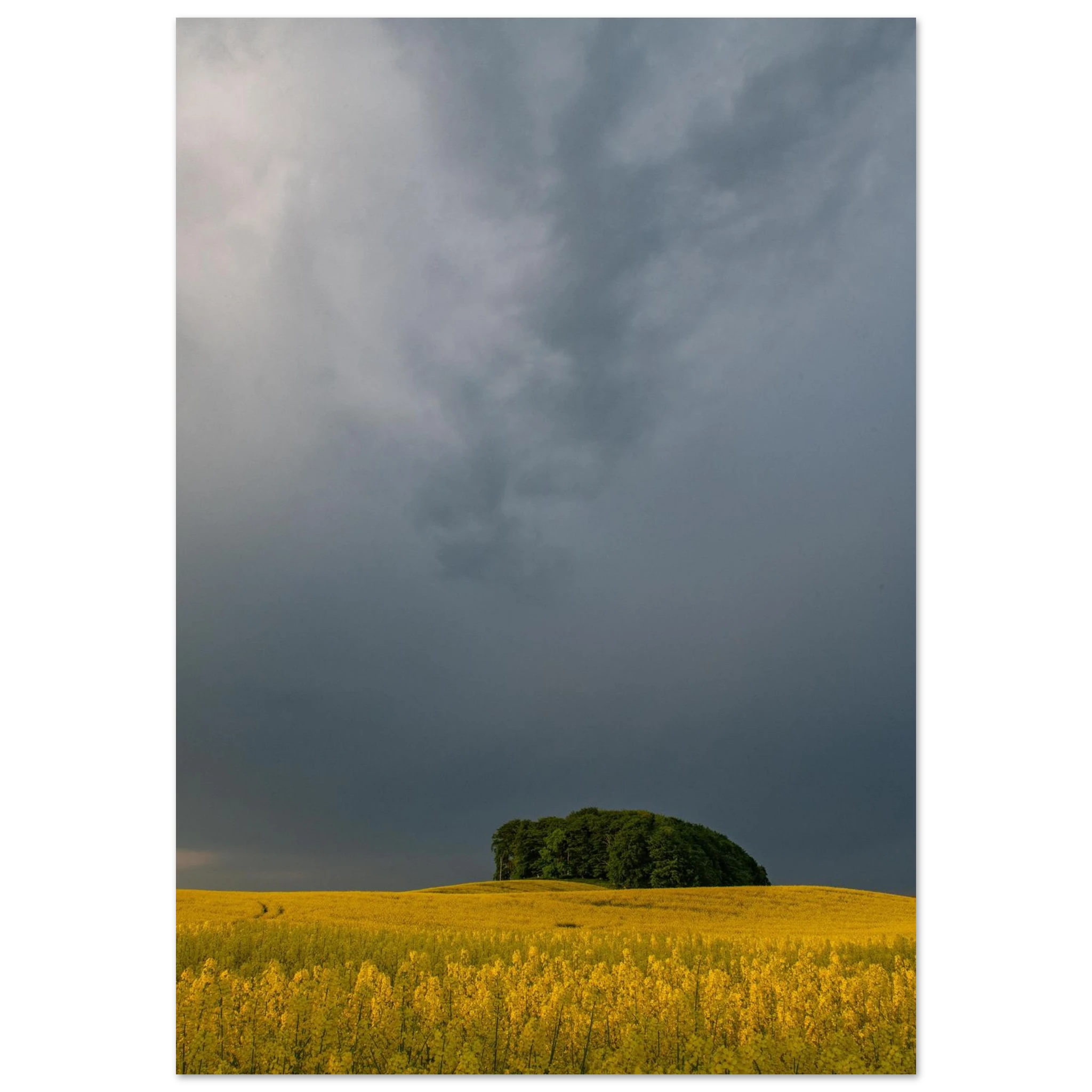 02f6ef28-54b5-46ef-9d7c-bef7b55b05c9