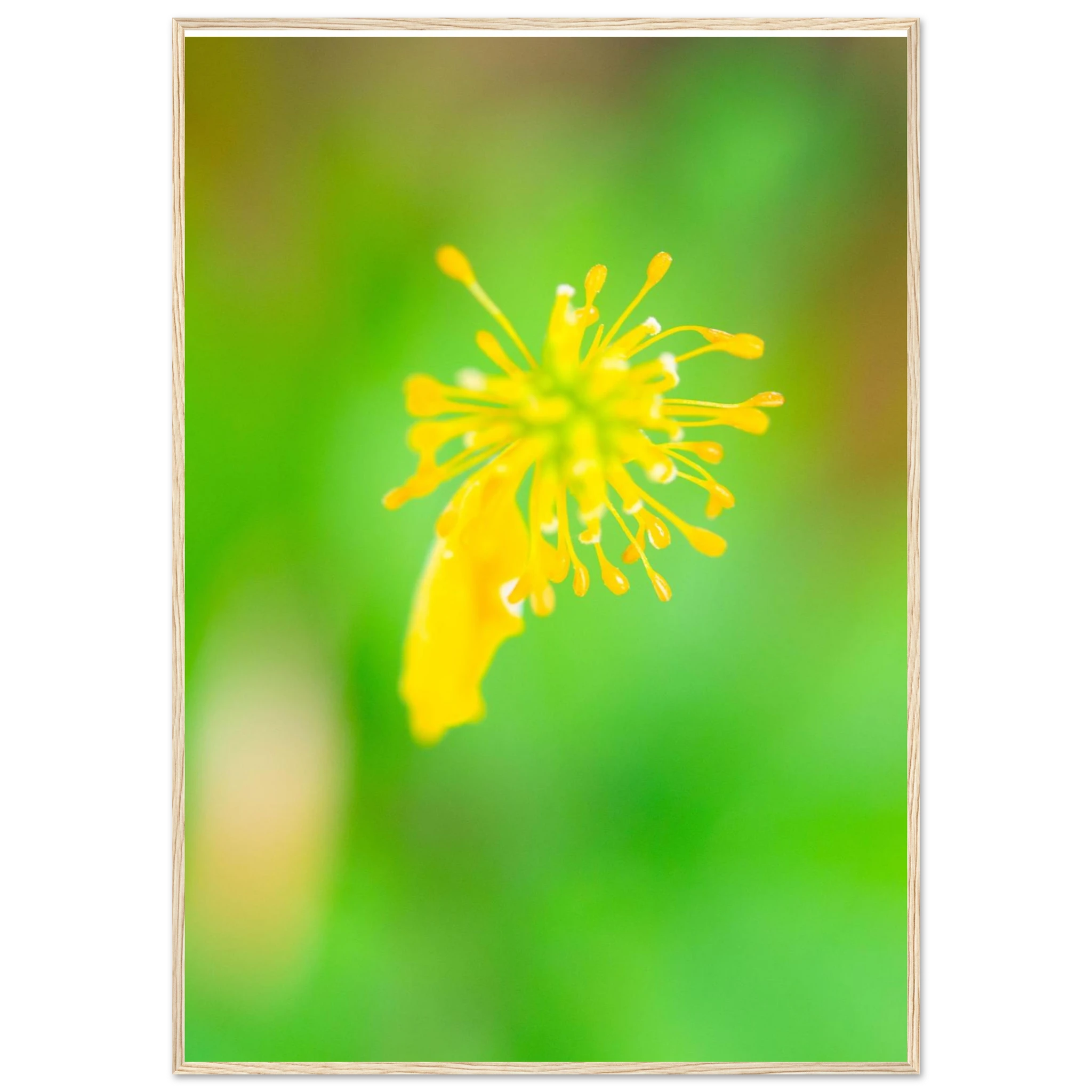 03860d98-1f45-4a48-b809-f9143d7c40a4