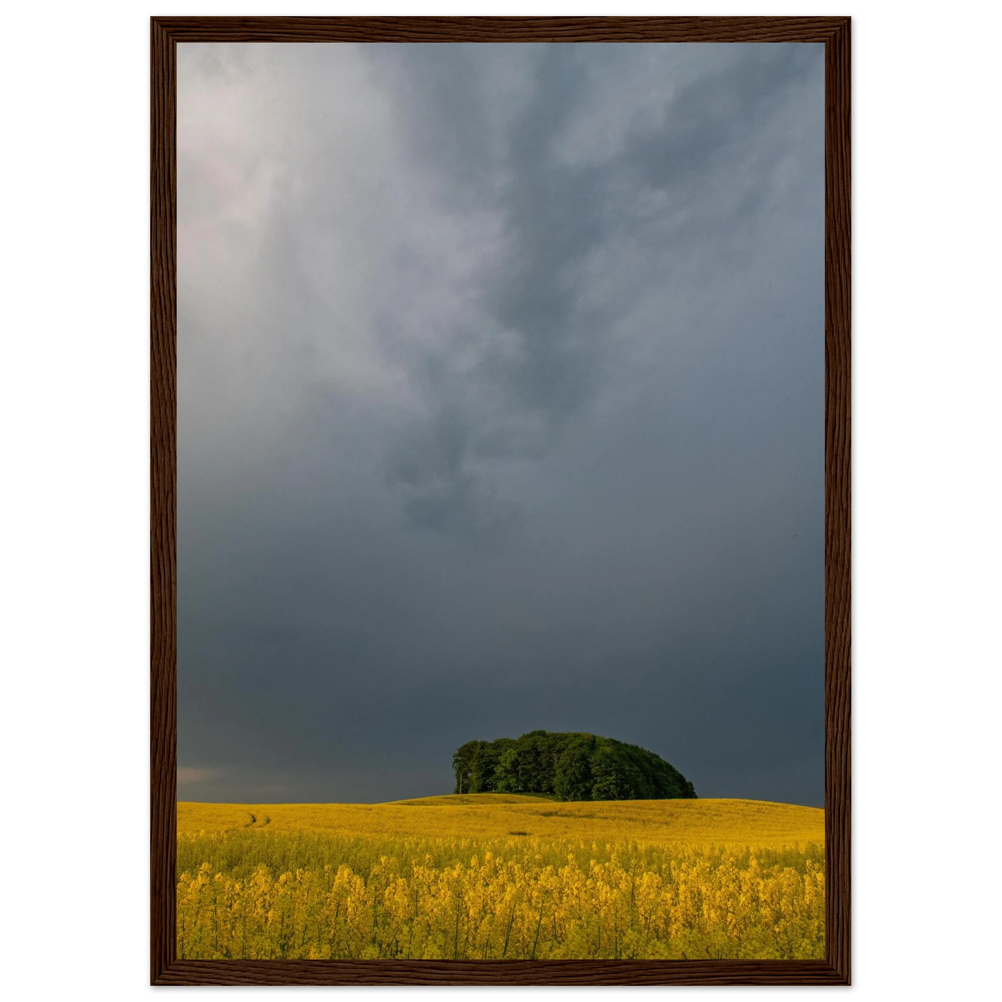 039f2385-45e5-4577-bc75-db5346be87b0