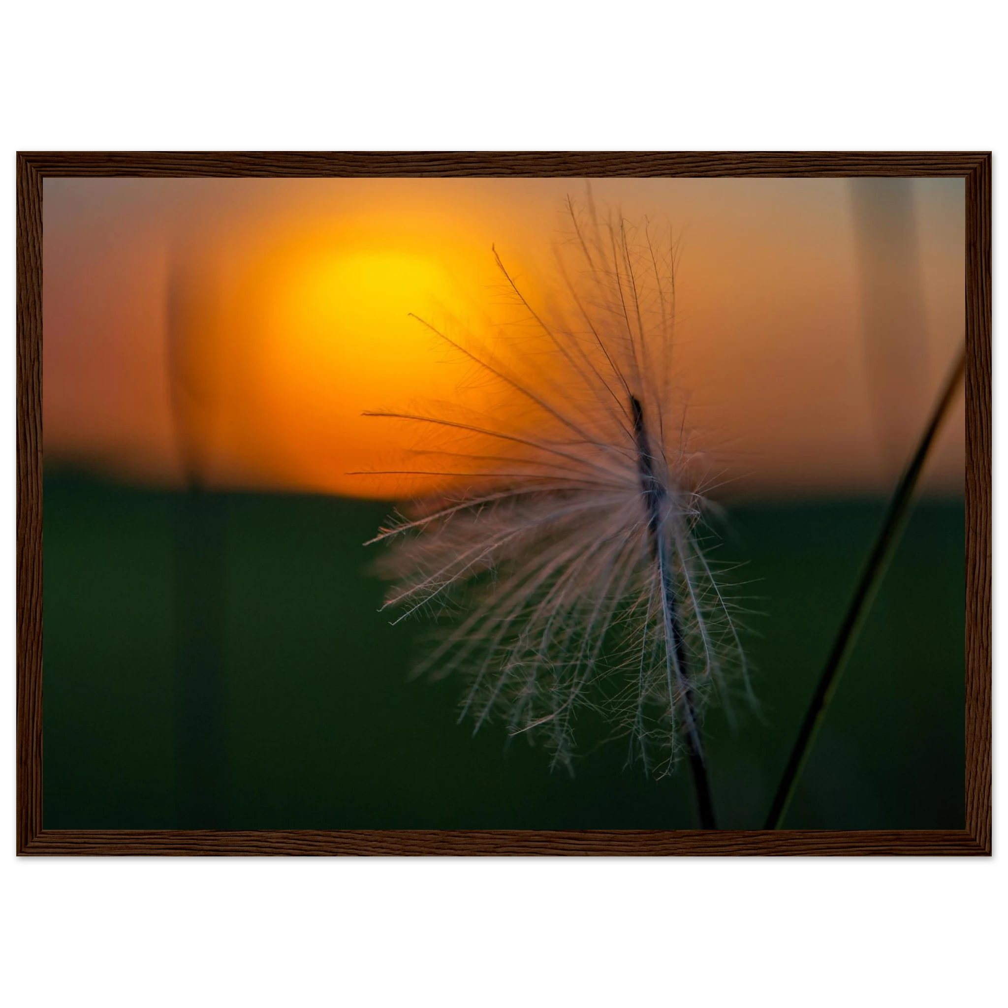 03d3bc1d-a3f5-4734-a2c2-24d881e39c3f