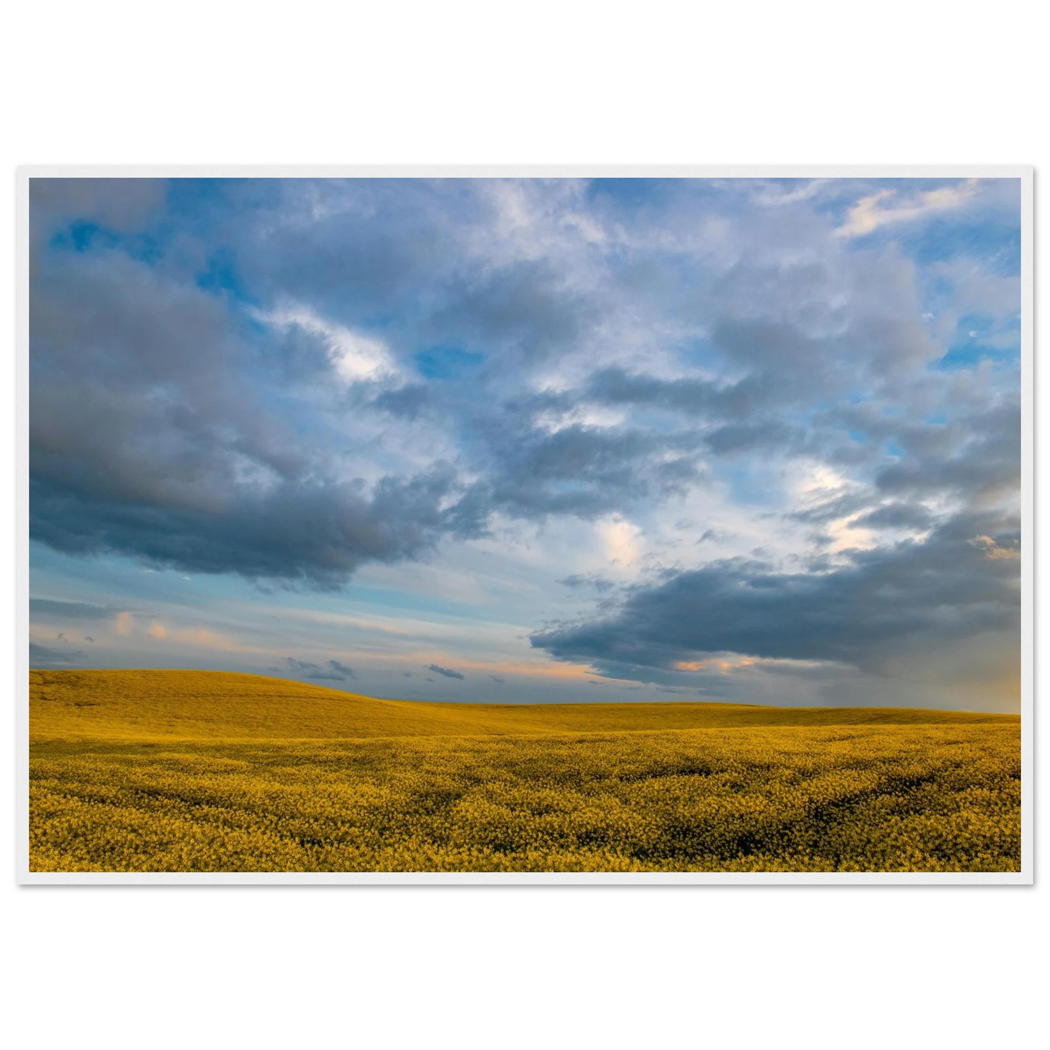 040c0d14-84af-4aca-aeff-a2463d77b3e2