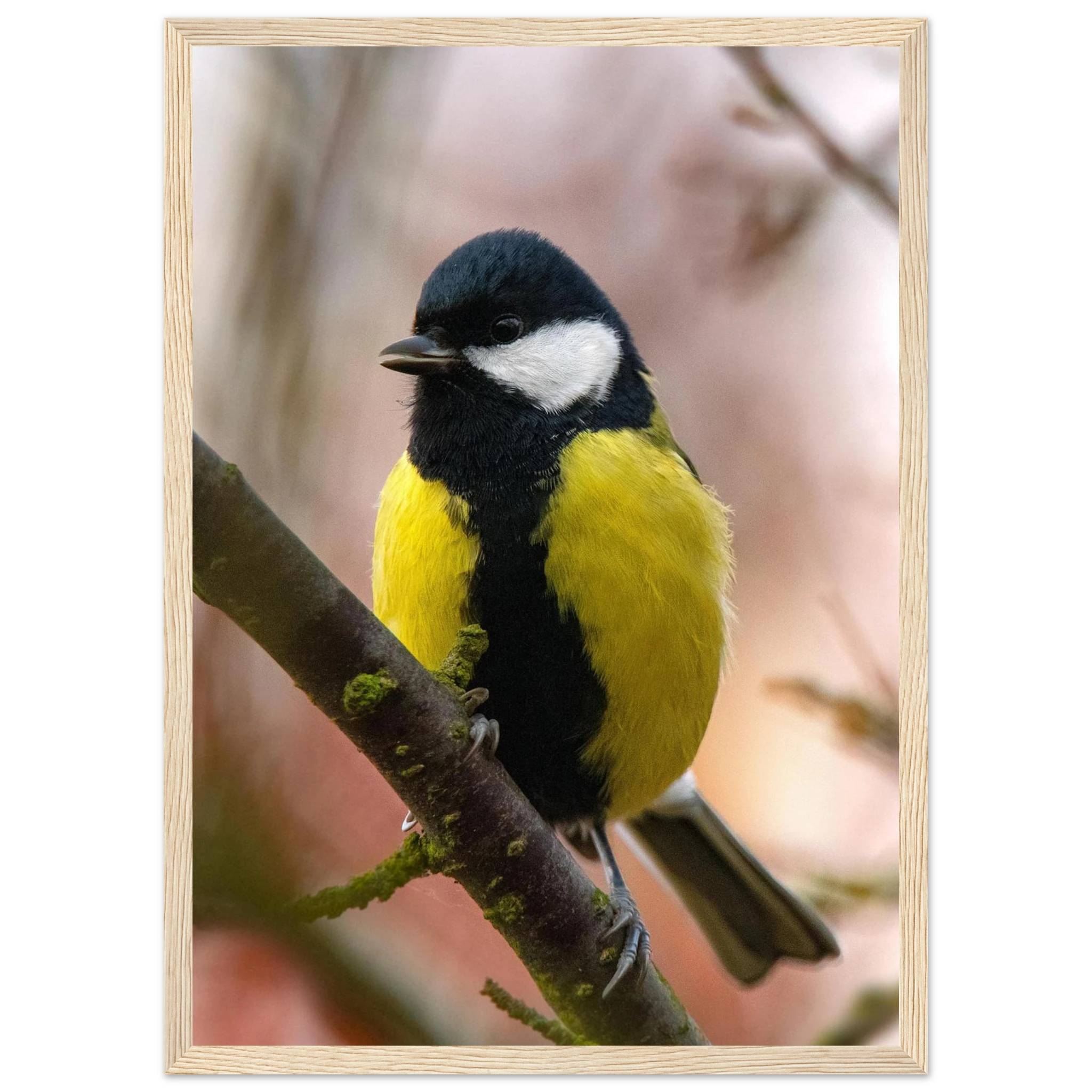 05c33655-1fc6-4f3e-ba1e-ade885f6199e