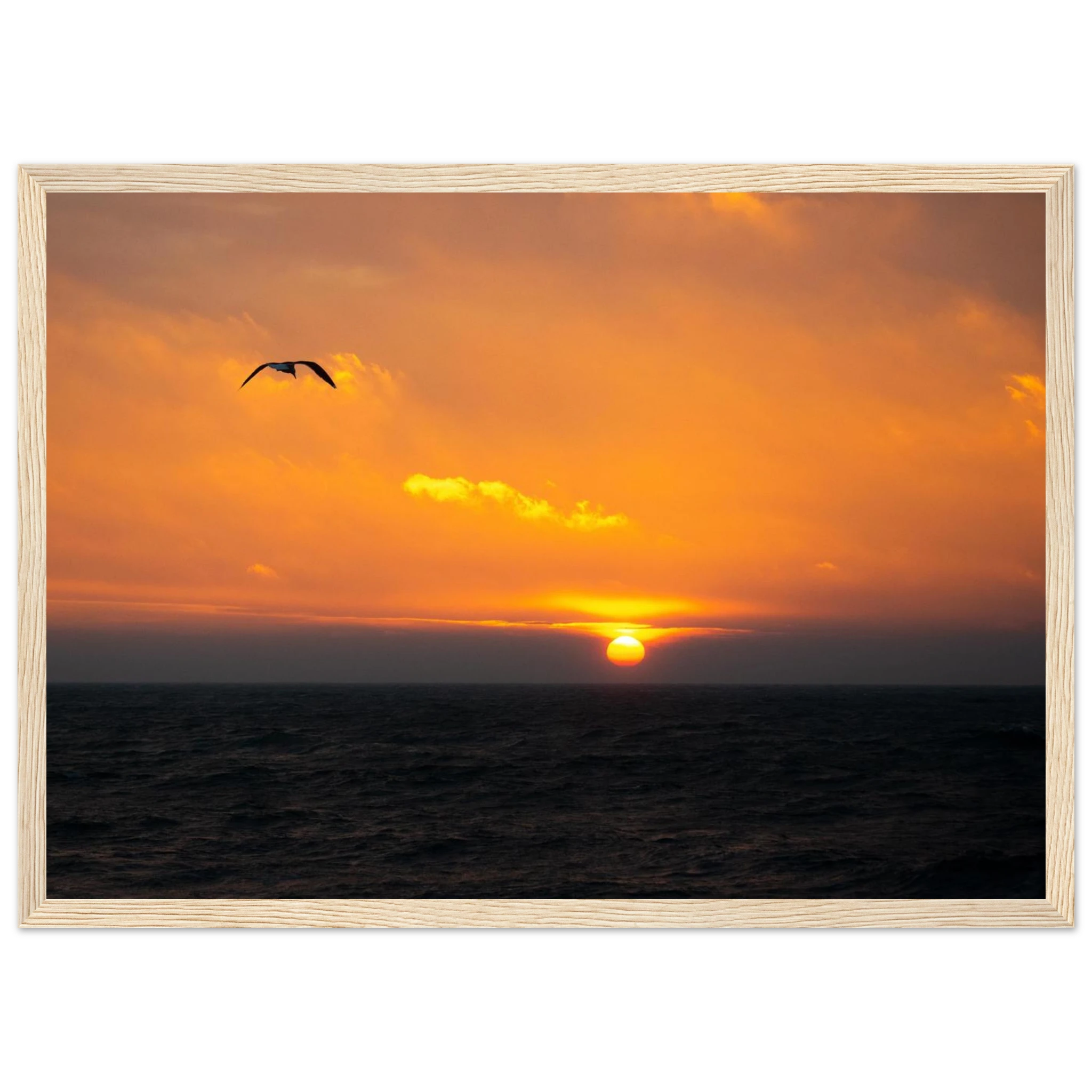06282bfc-f2a9-45dd-ac34-6c5d649b418b