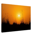 06a0f421-71c0-40af-8061-2d56fae639e7