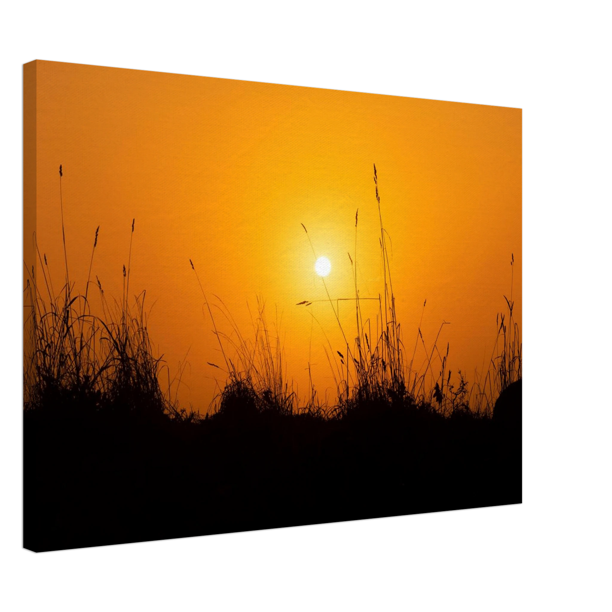 06a0f421-71c0-40af-8061-2d56fae639e7