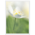 06c99e07-06f0-4cbb-af4f-6b220b9a71ca