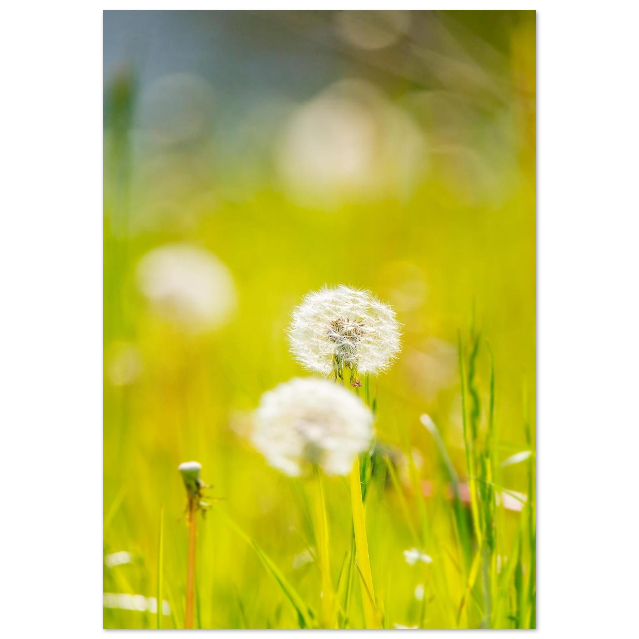 06e65c40-72f0-45a3-94db-24ab8674ff1c