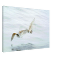 07dac601-fe58-4f9b-9e38-bd1b3a433cd3