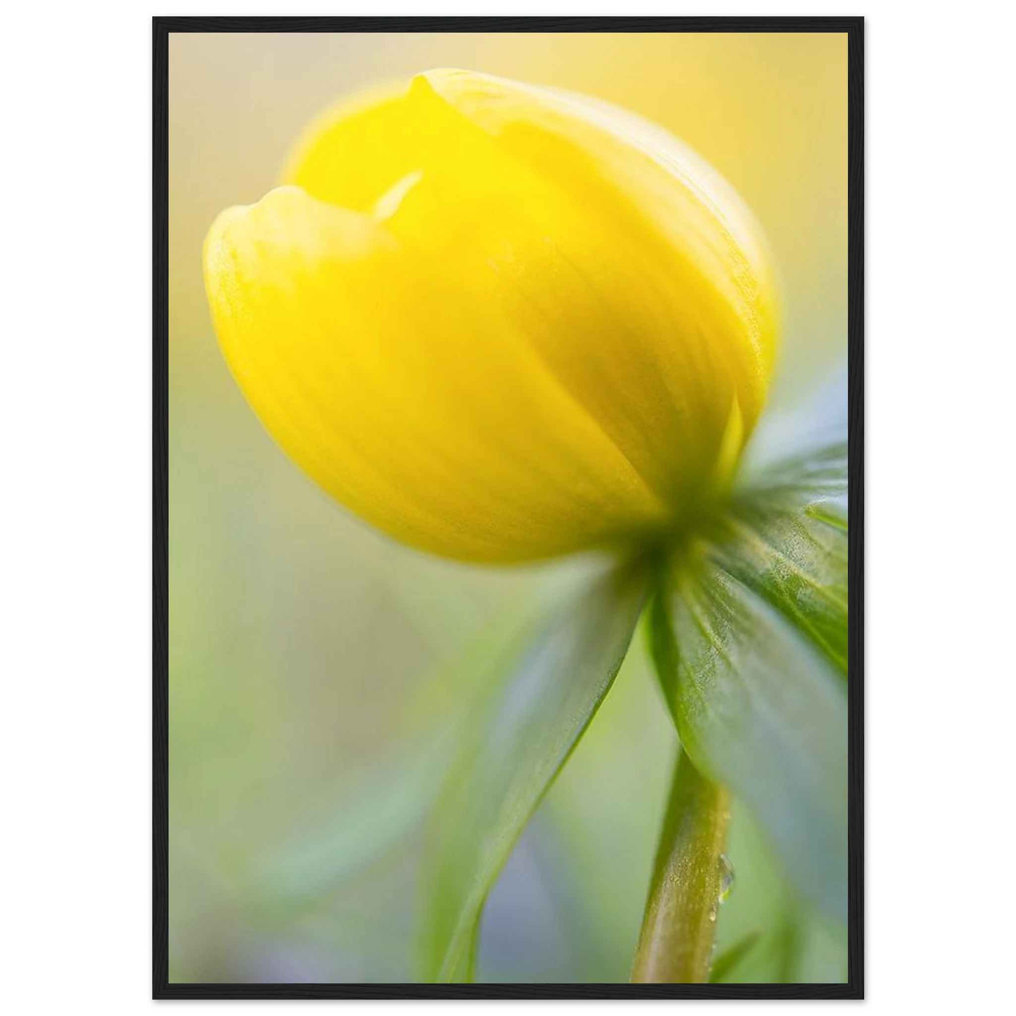 082df044-db3f-4039-a58a-0cac24b76b07