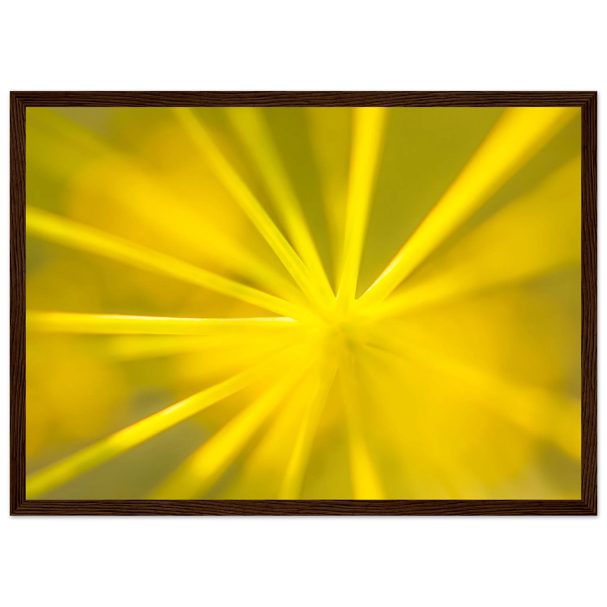 08eca50b-1912-4c5f-9458-d6ff77e0c065