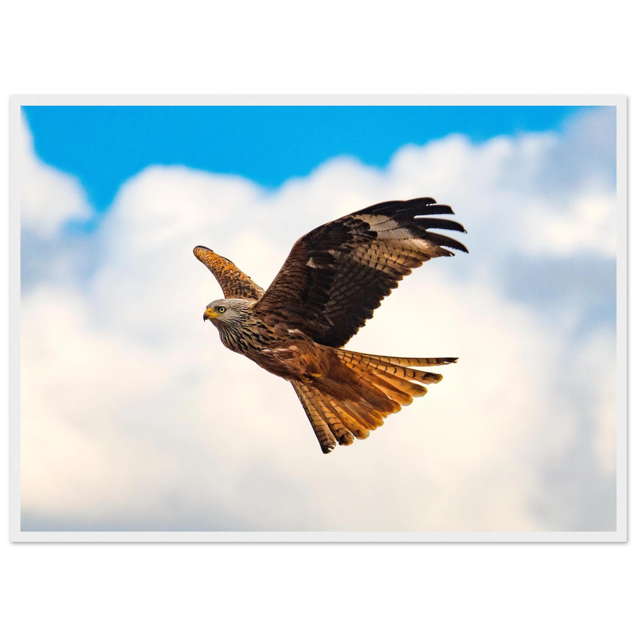 09240831-38f5-46df-bbf7-f27e4e70b337
