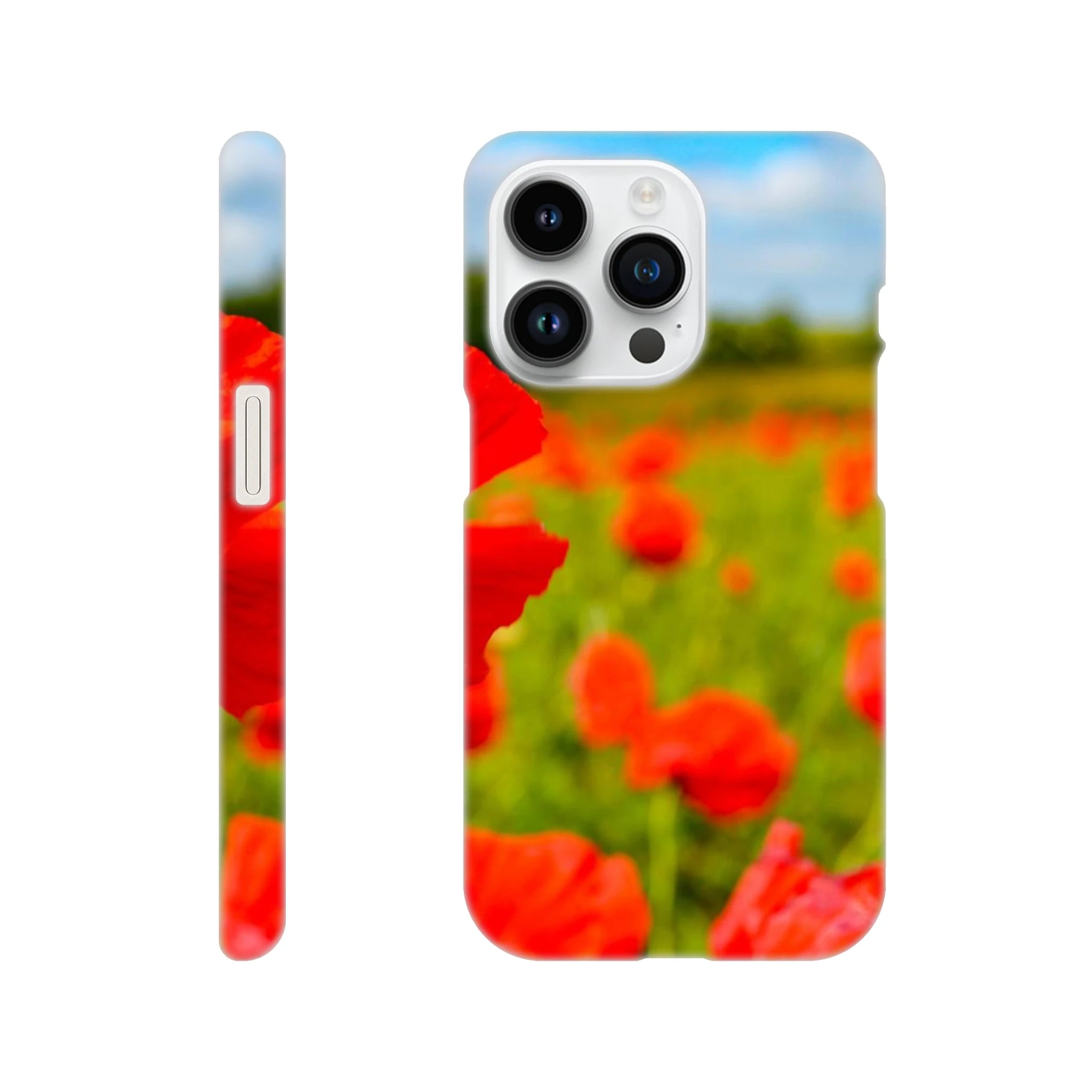 09b57a2f-cb3e-4bc7-b46e-5be235f3024a