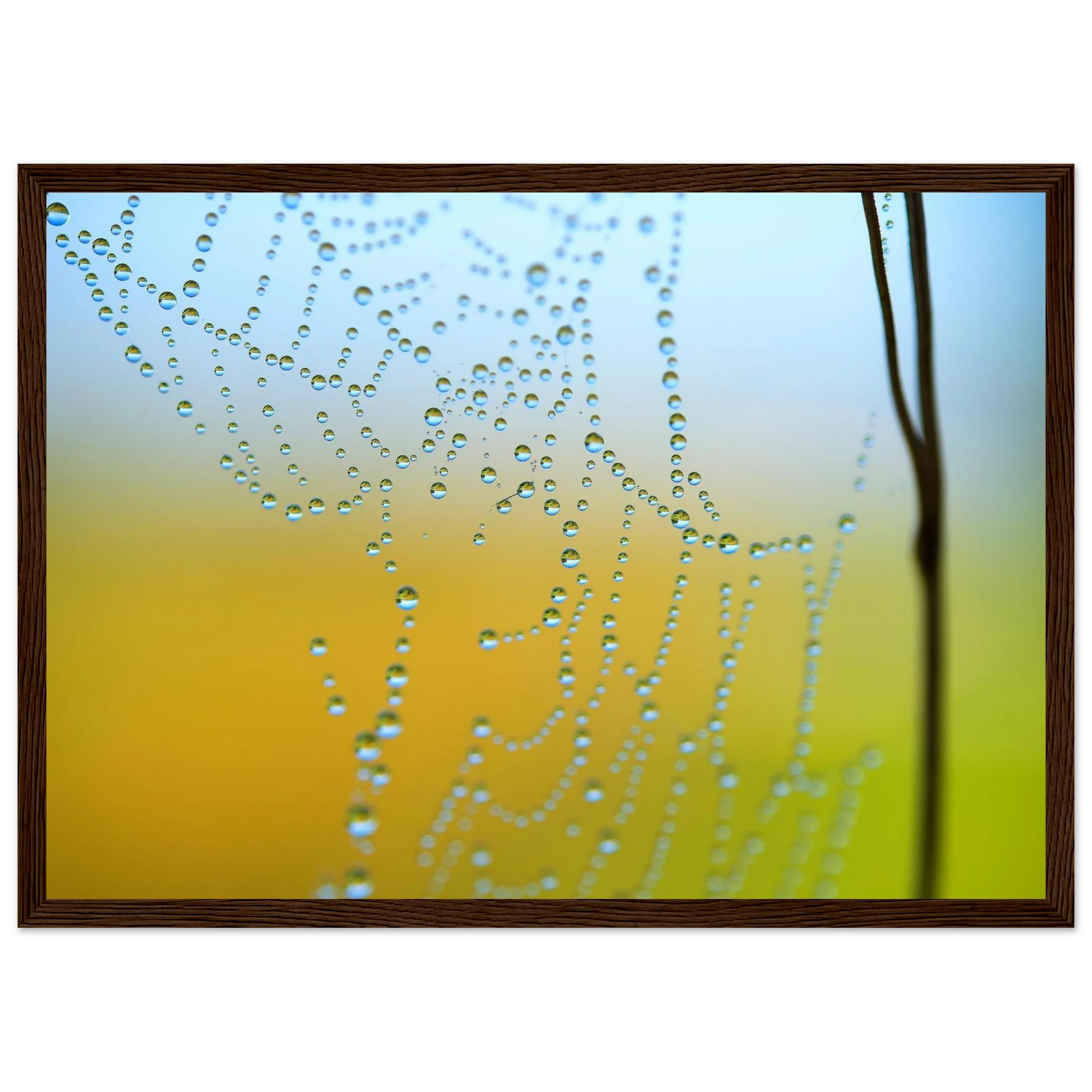 09f3e778-0916-4d38-b22e-9421f80170d8