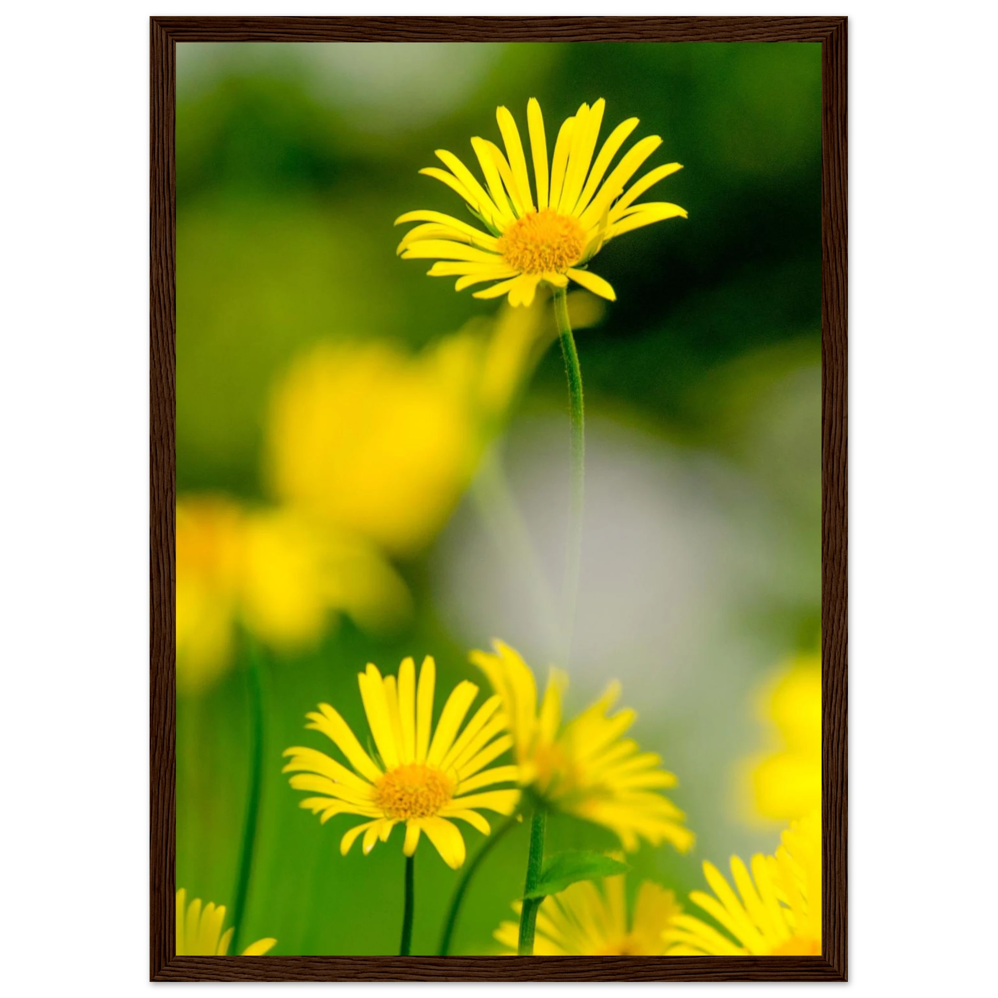 0a35fbdf-8c62-44fc-b76e-a85e04edd79d