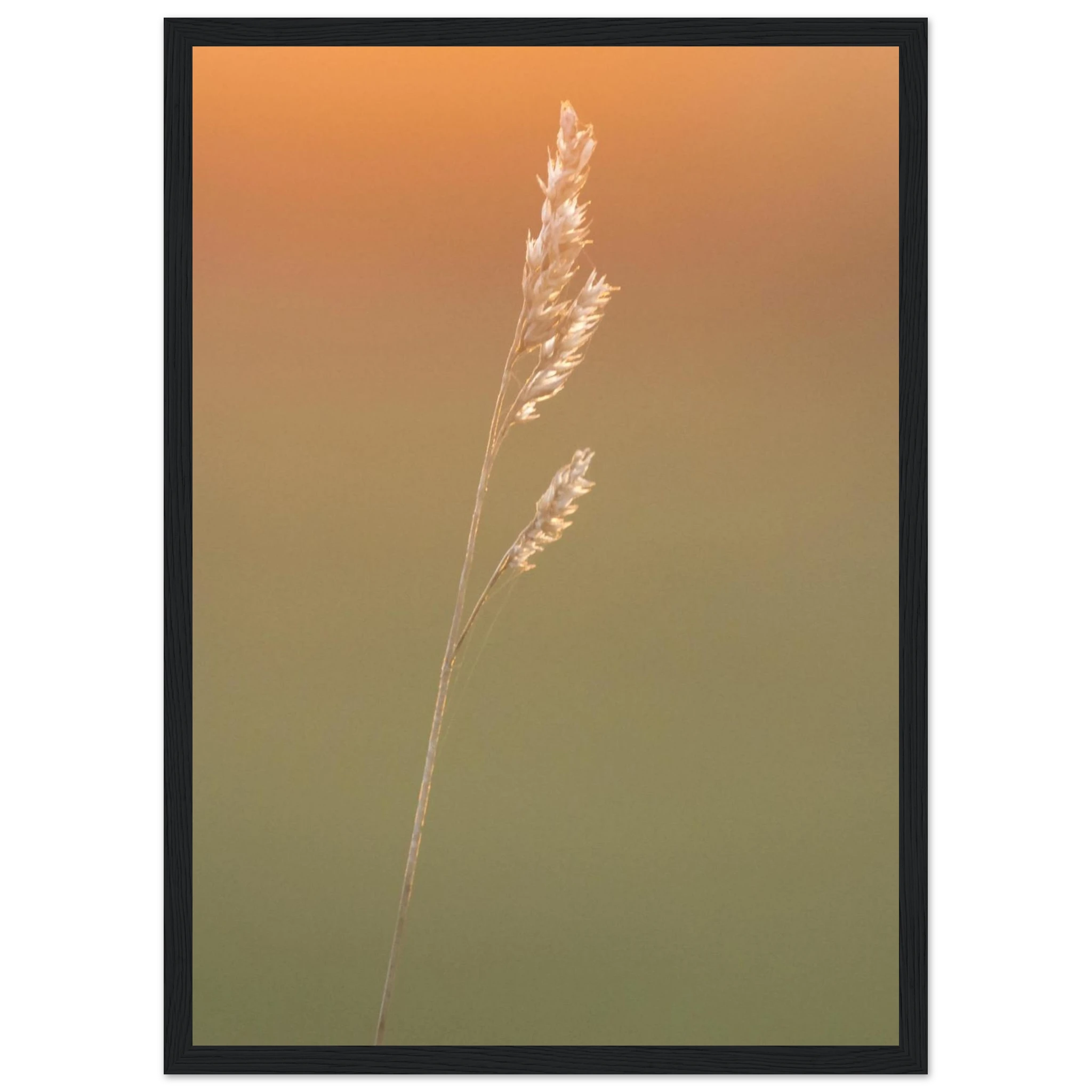 0a744709-f45e-40c1-aa6e-bd9d5ec24445