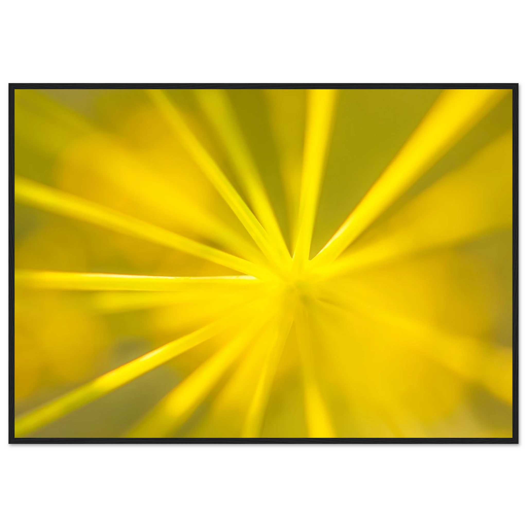 0ae4ccd3-c1fa-40de-a900-5255d4fbe054