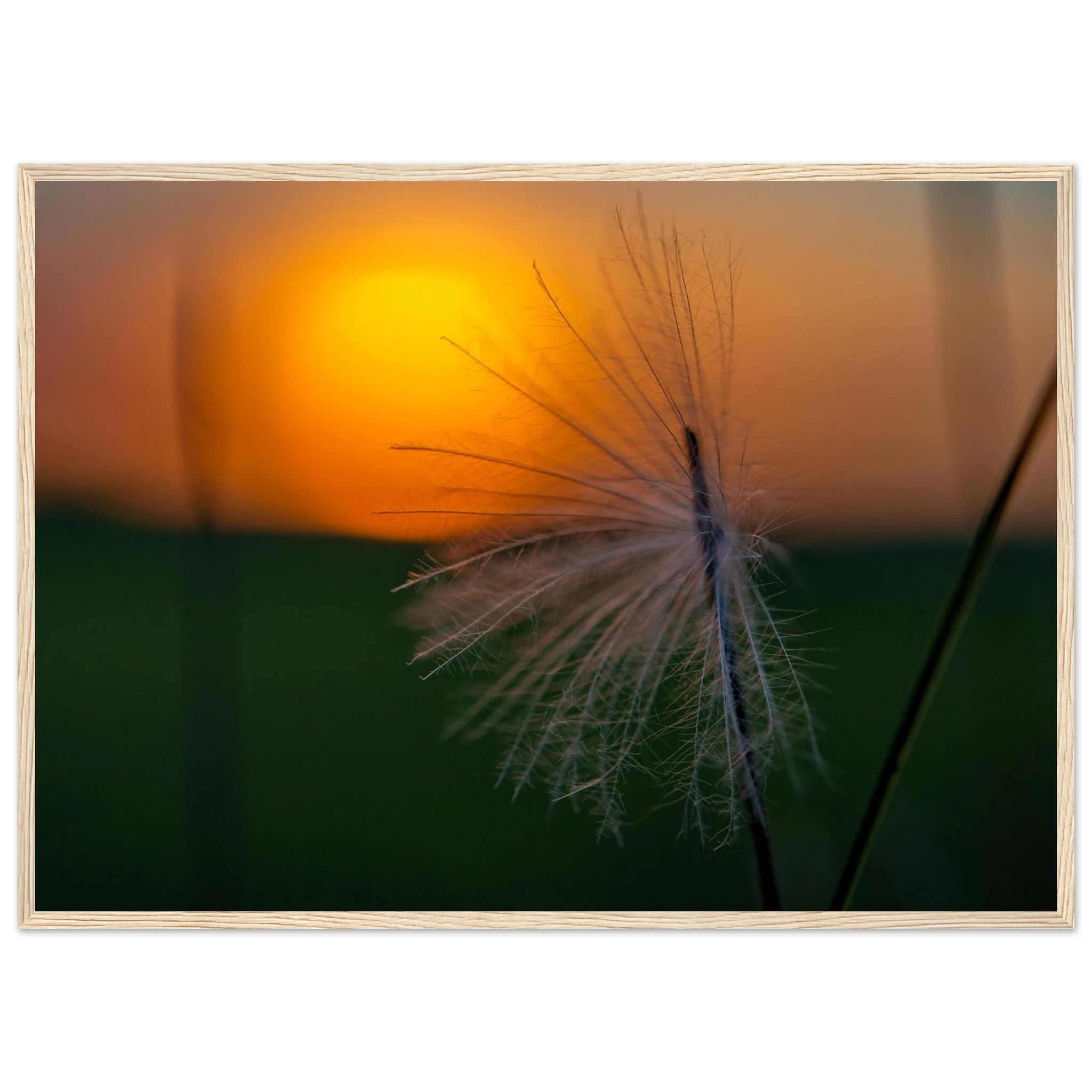0bad53ff-2f39-4786-b097-5be59351bc52