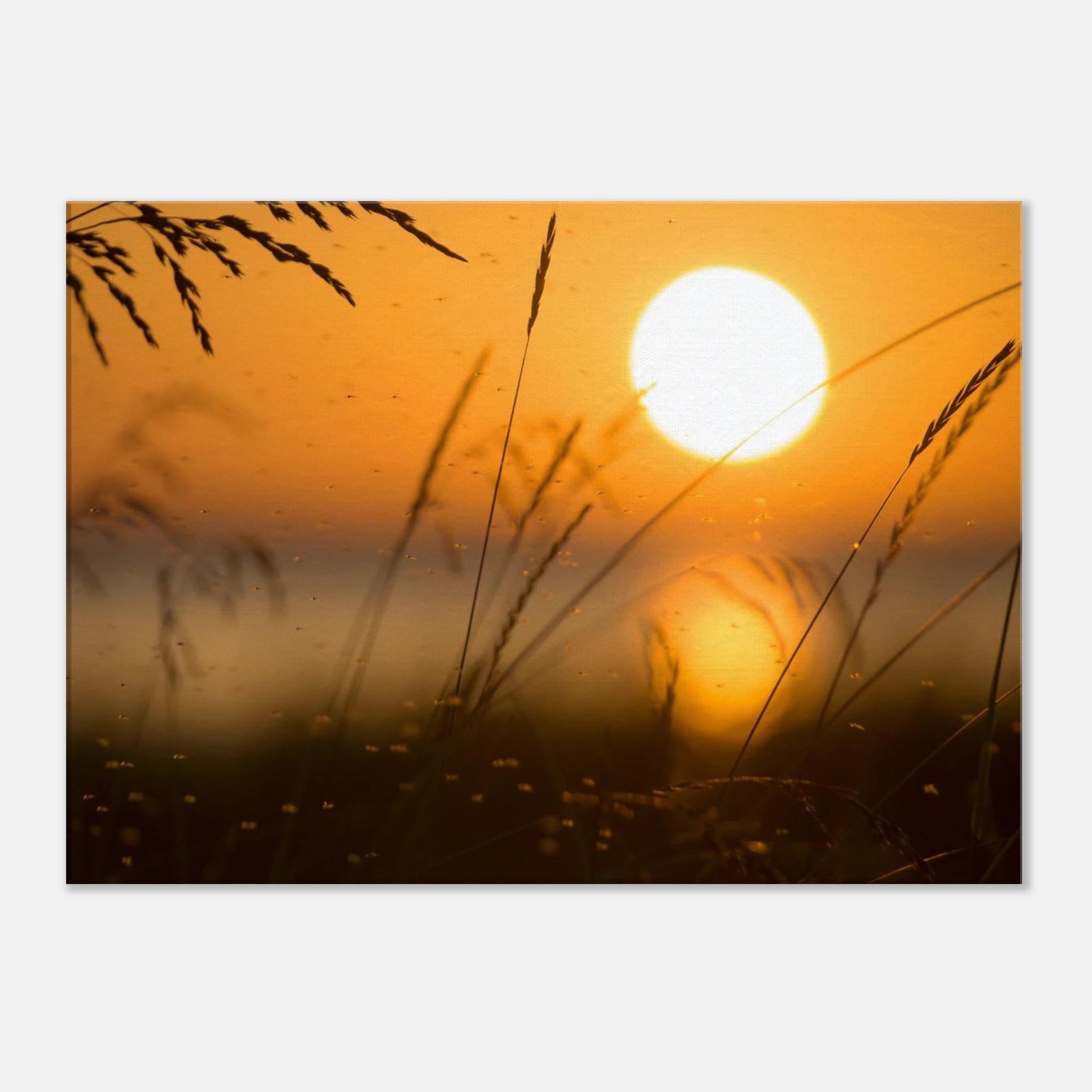 0c210d3c-7172-45bf-988d-8c7370981084