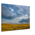 0cecf533-edfc-40f0-ab05-006b0c1dc85d
