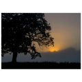 0d13b543-e5e9-41a6-8724-c267ded14d6d
