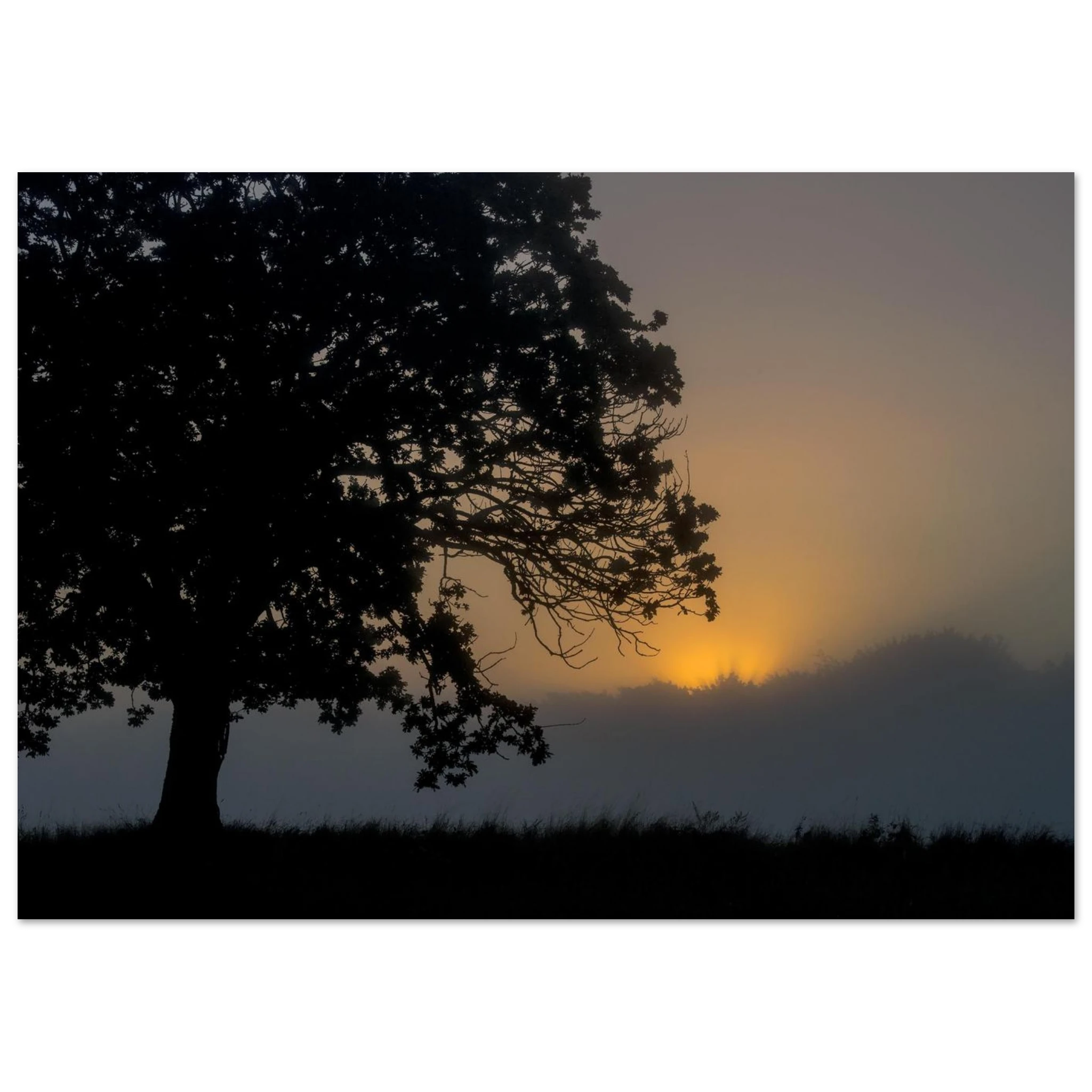 0d13b543-e5e9-41a6-8724-c267ded14d6d