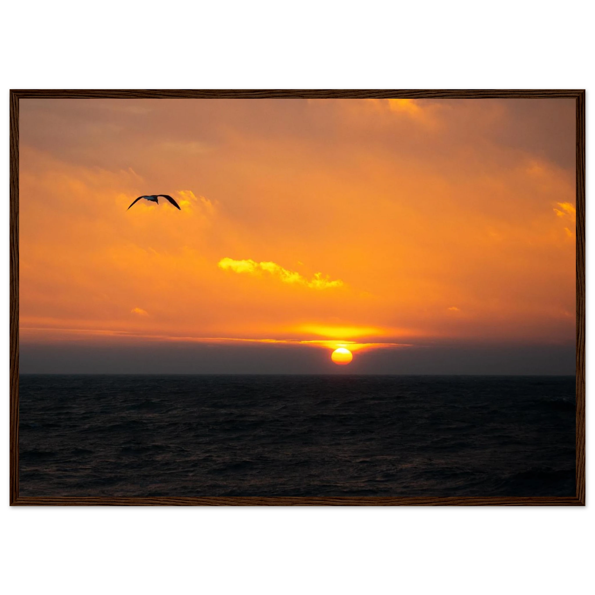 0d2ce91c-e9d8-46fc-83e8-7fd25ab87008