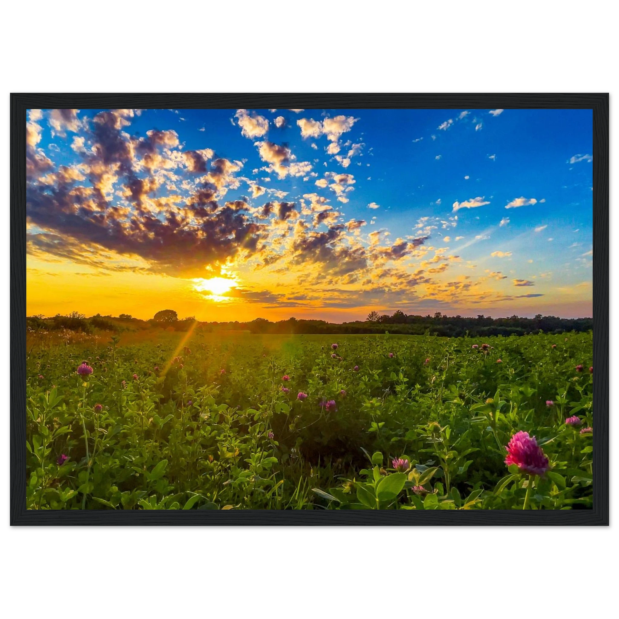 0d628747-0f02-44cf-9786-1bb267d406a4