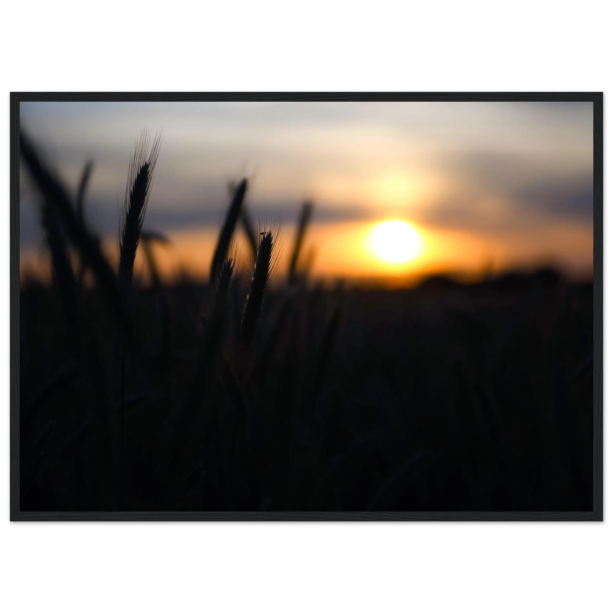 0d6d2e60-bcc1-4461-b35b-27608de63f91