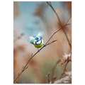 0ec83510-5d50-43cb-a287-aa93c1f5b9fc