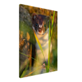 0ee0e986-913a-477b-94fe-fa7e0410cd7c