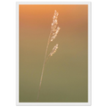 100180a7-5ed0-4e73-941d-d3ae1ec735b3