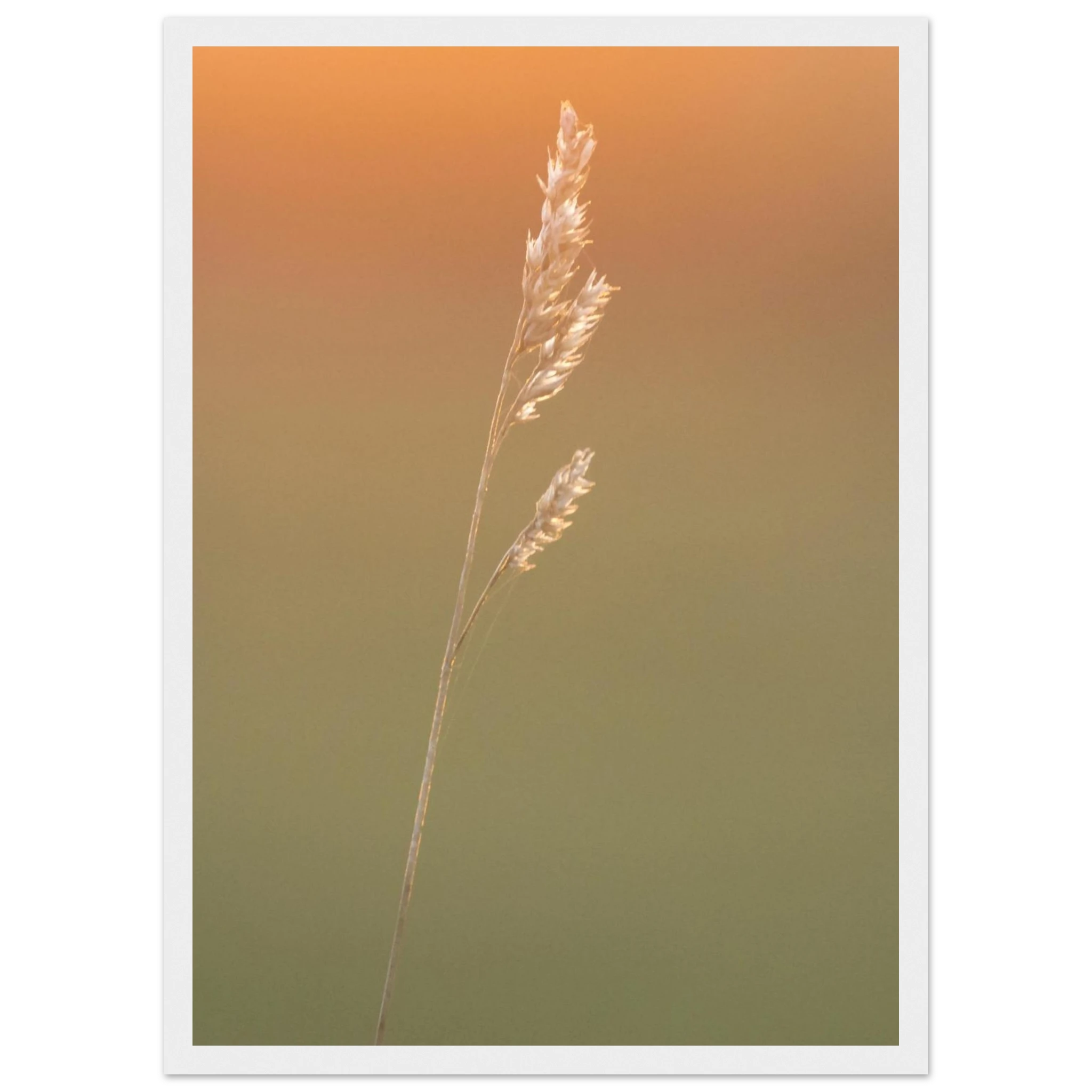 100180a7-5ed0-4e73-941d-d3ae1ec735b3