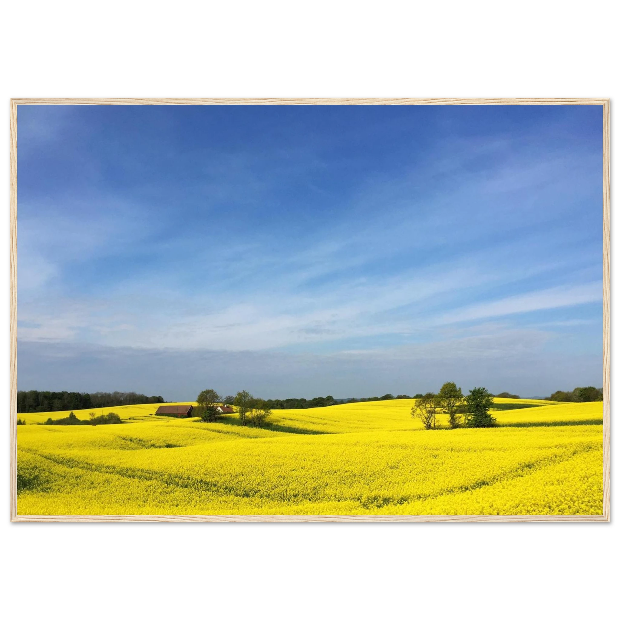 105e7cd3-70dd-4553-a005-9073fc119b9b