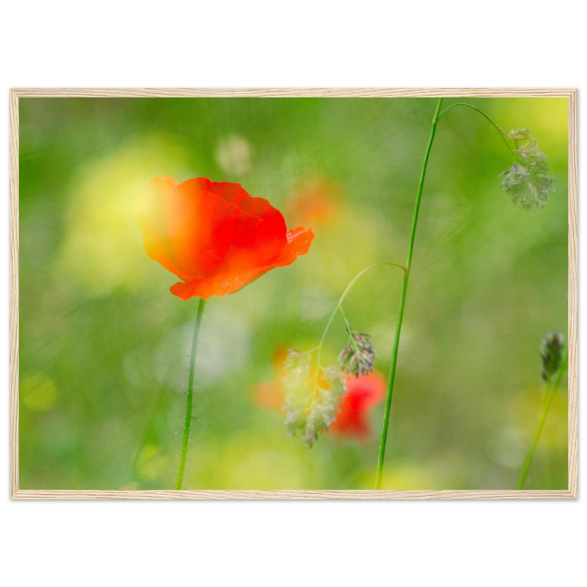 10947df2-68a3-4731-aa89-c7cbff726170
