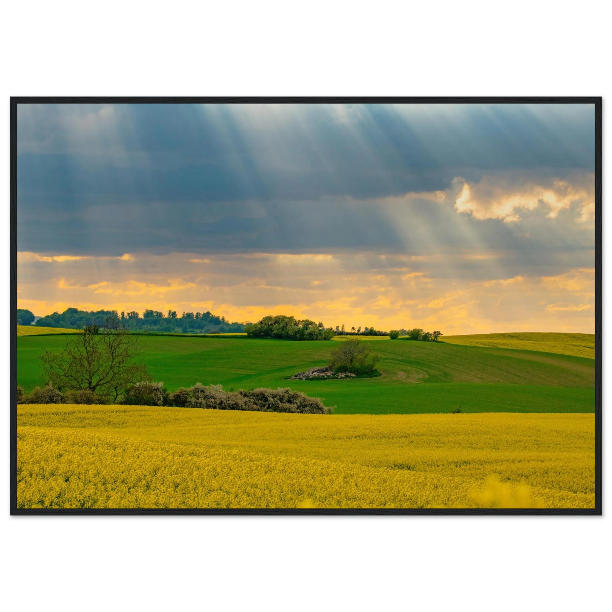 1158bd76-c17a-46e7-a87e-b44e4a3905bb