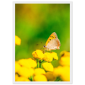 11773b97-3f9f-4b40-a1f3-e00a9fa9fbdf
