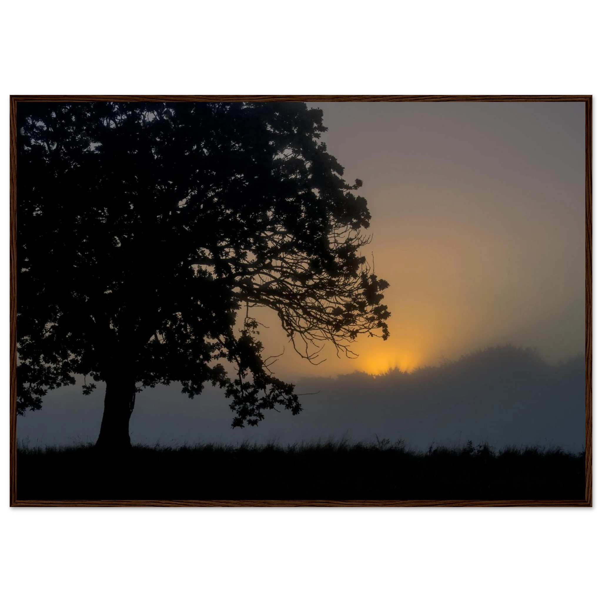 11794d68-febd-4dfa-9d15-a557174e9b59