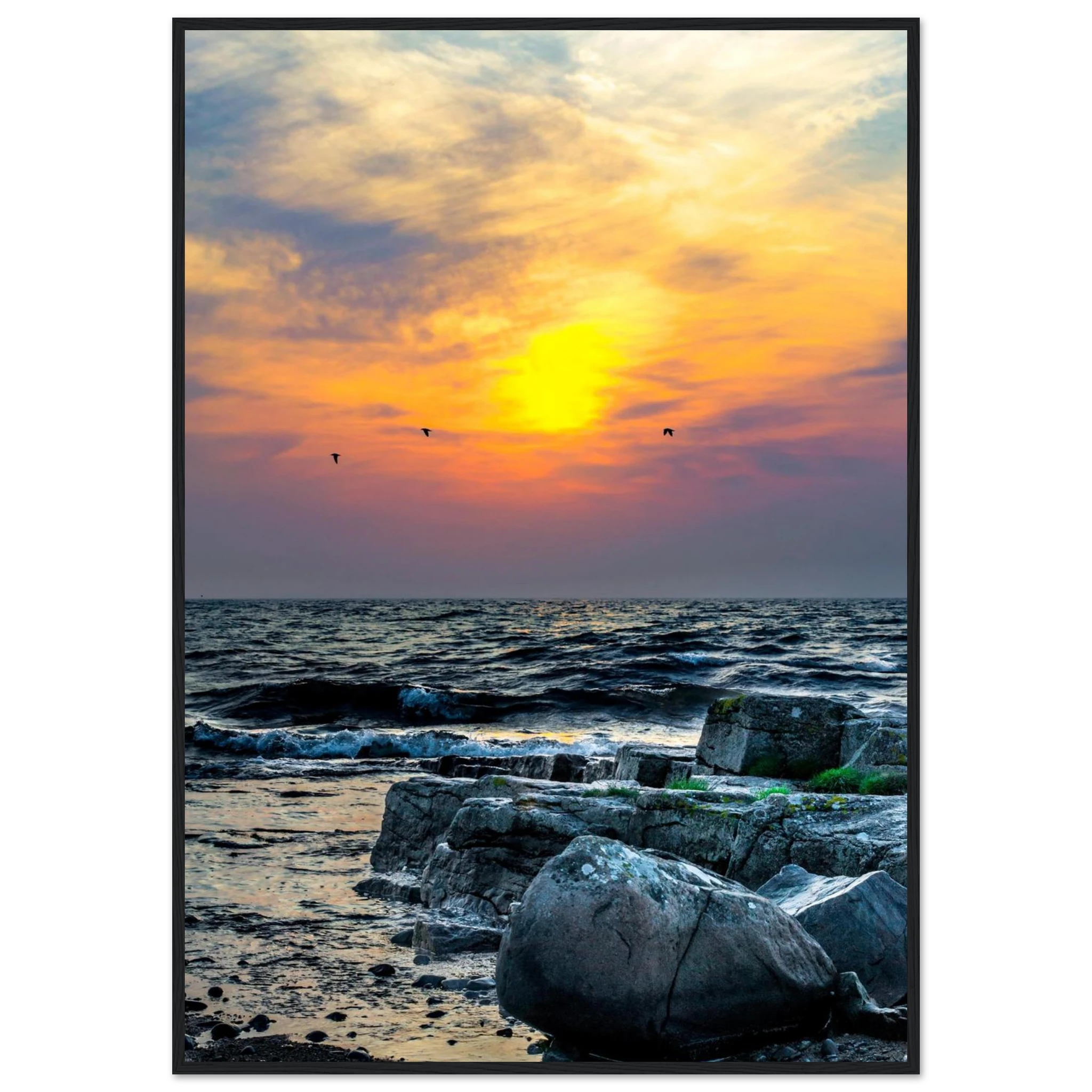 11f14885-7934-452a-96c6-1d925cc4df58