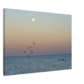 125e4f0d-f131-4f6c-a128-8b64f1707f5b