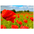 12d98cd2-c658-4835-a414-b69f29f111d6