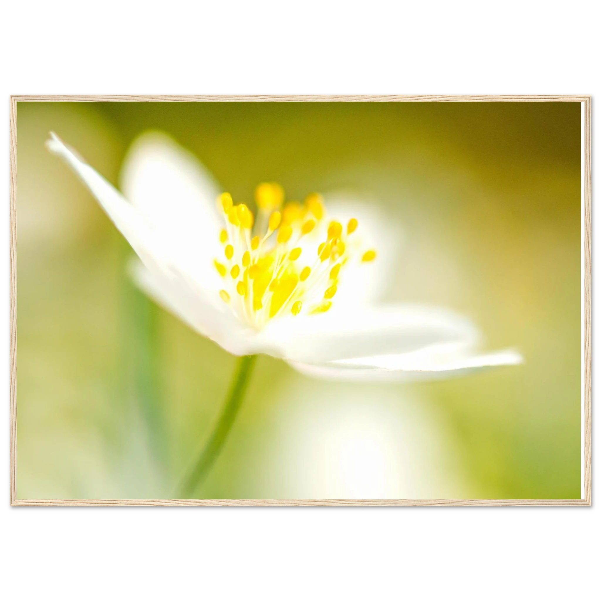 135828b9-ee08-4cf4-bf78-11cf2fb77c86
