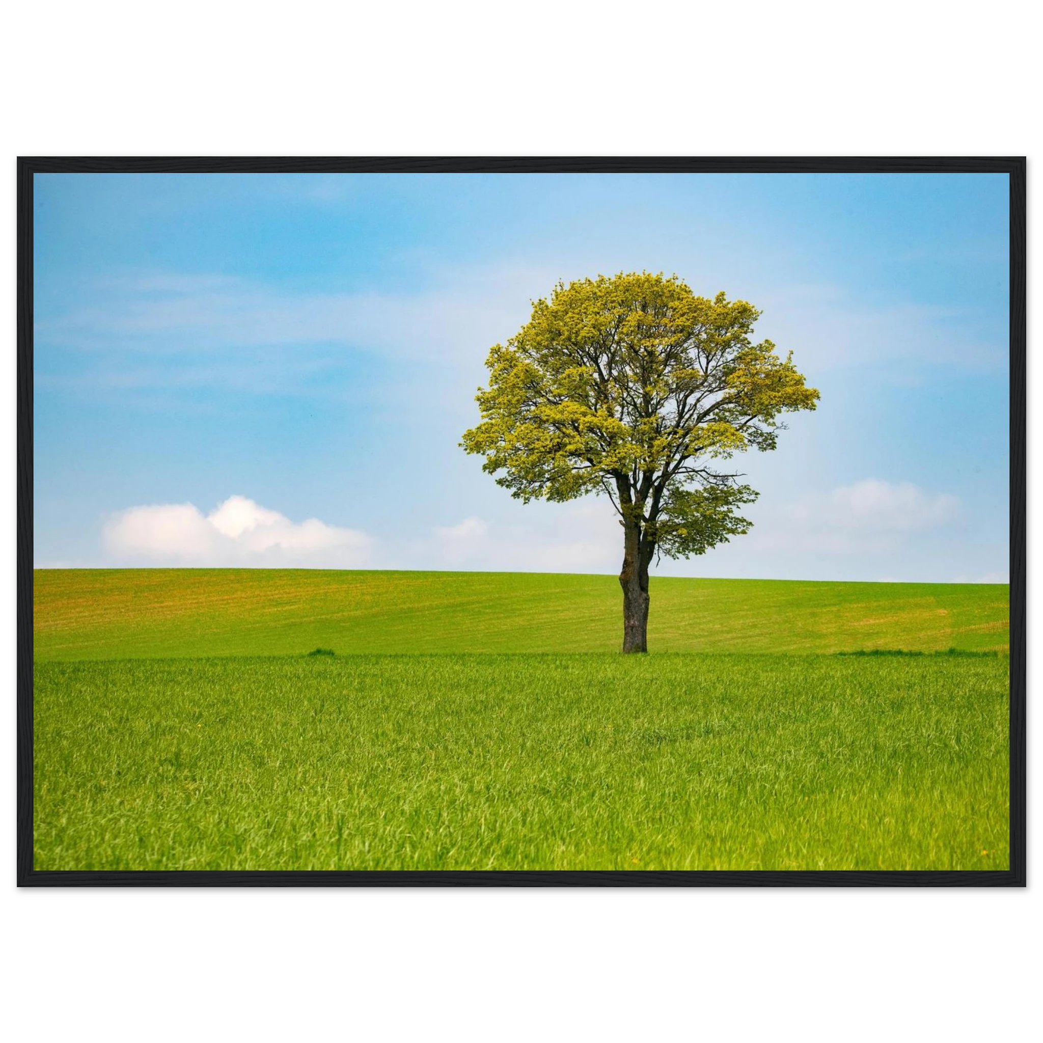 13a1af71-0cc6-4499-a947-df4c2852a874