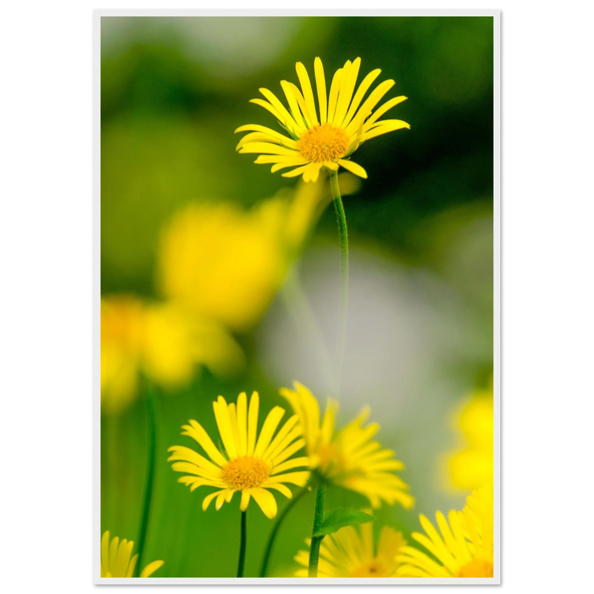 1499f90a-95ac-47d9-8eb7-74dd3b2ea7f4