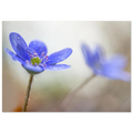 14f4865d-8113-428b-82f1-2a30cbaa7be1